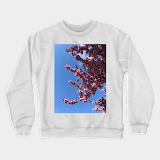 Spring Bloom, II Crewneck Sweatshirt